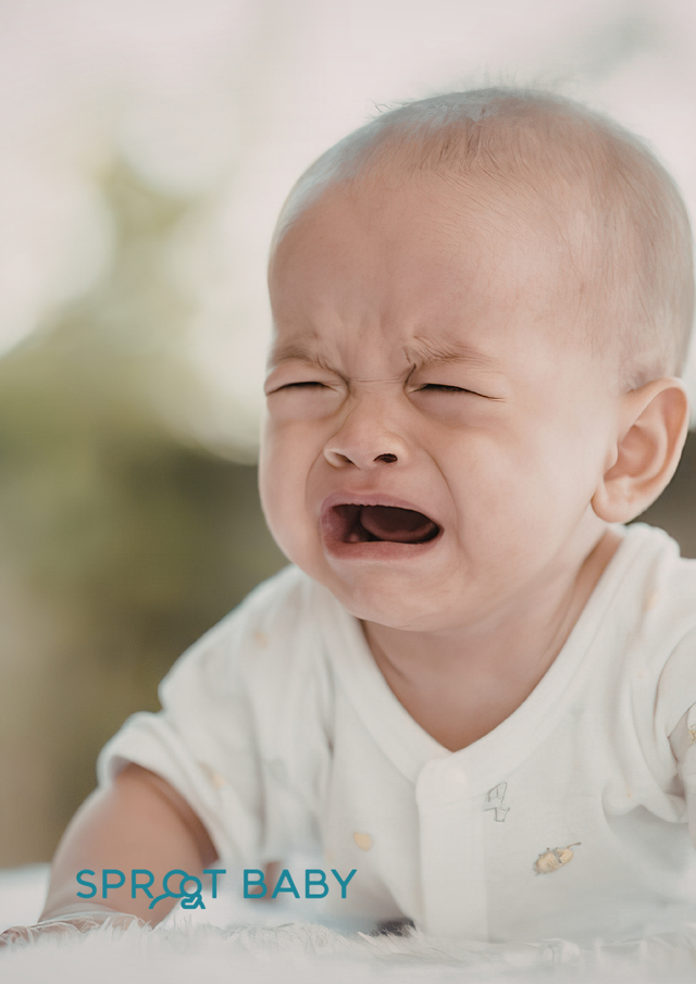 Understanding the 6 baby states: how to recognise what your baby needs