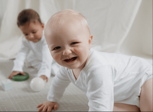 The Sproot Set - Sprootbaby