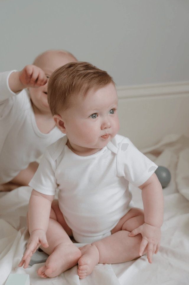 The XL Sproot Box - Sprootbaby