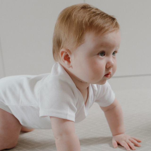 The Original Short Sleeve Bodysuit 5Pk - White