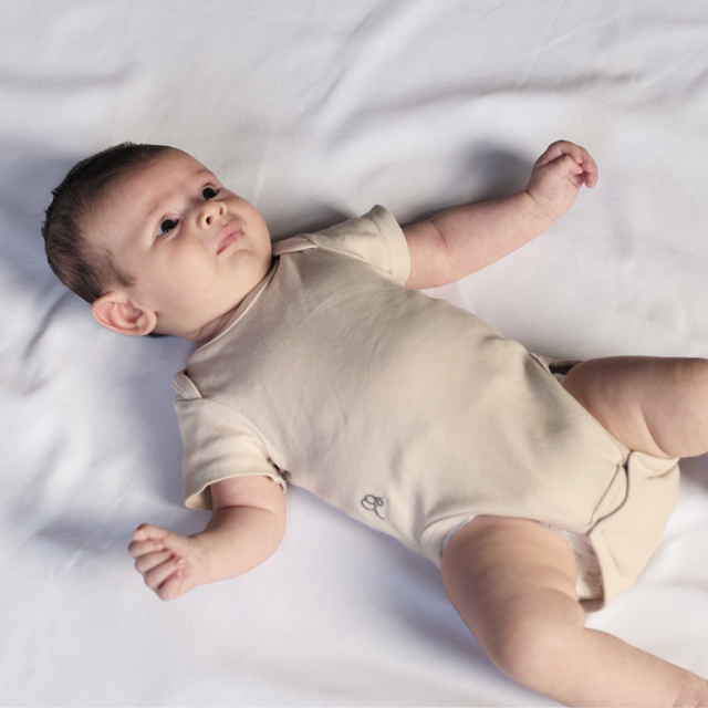 Short Sleeve Bodysuit 2Pk - Seashell/Sand